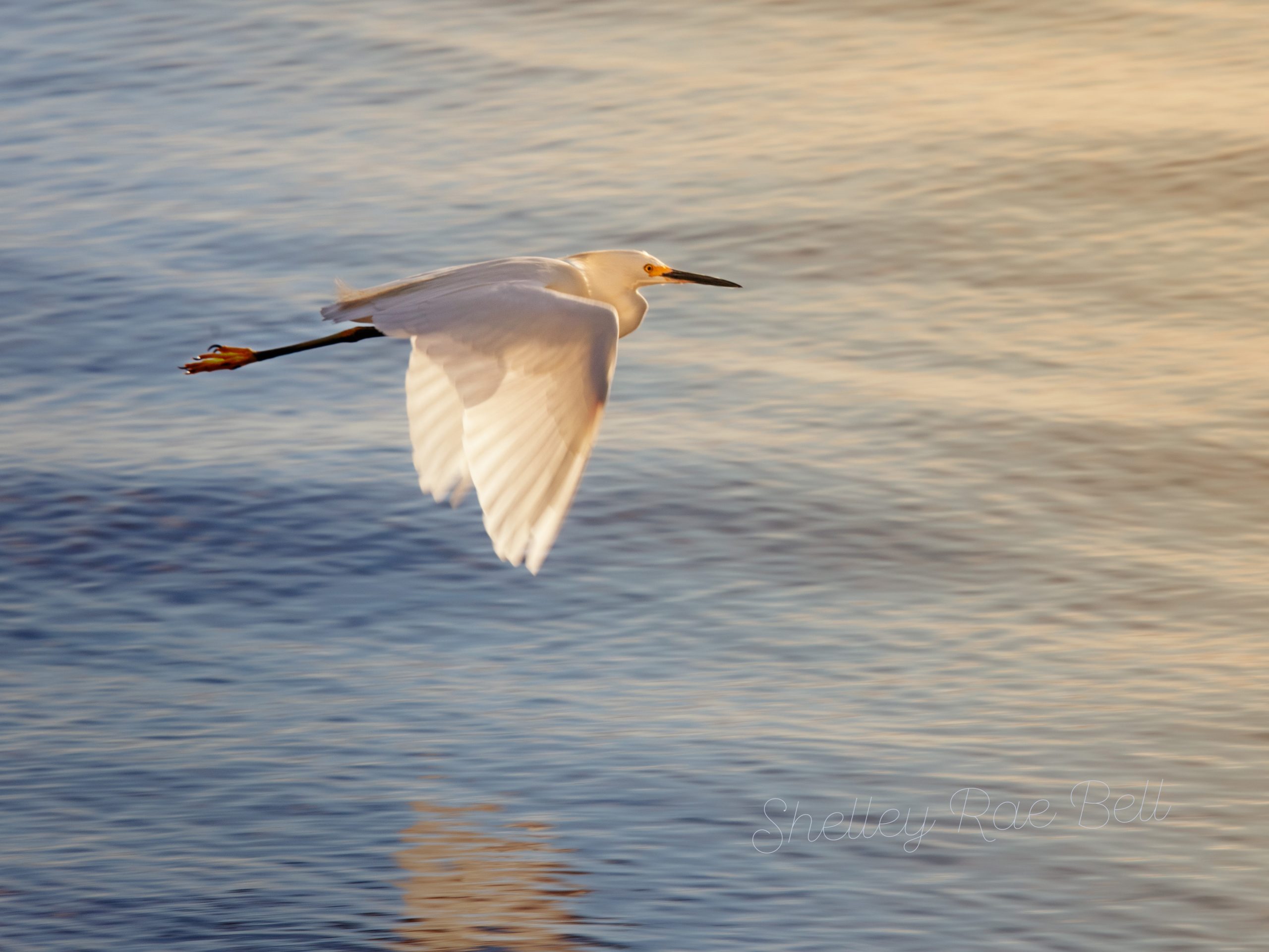 Gentle Ways to Feel Better Where You Are